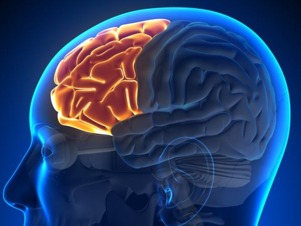 Research into the neuroscience of mindfulness and well-being.